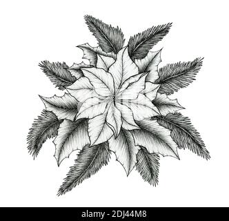 Poinsettia arrangiamento floreale isolato su bianco, inchiostro disegno floreale con poinsettia, foglie agili e abete, linea nera disegno floreale di Natale Foto Stock