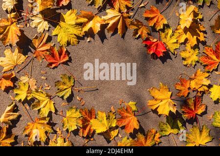 Autunno foglie gialle caduto a terra Foto Stock