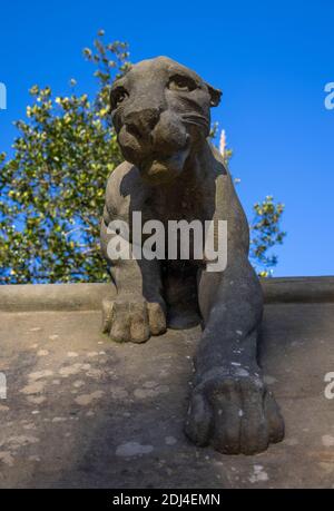 Leonessa in pietra scolpita da Thomas Nicholls sulla 'parete animale' vicino al Castello di Cardiff, Galles. Foto Stock