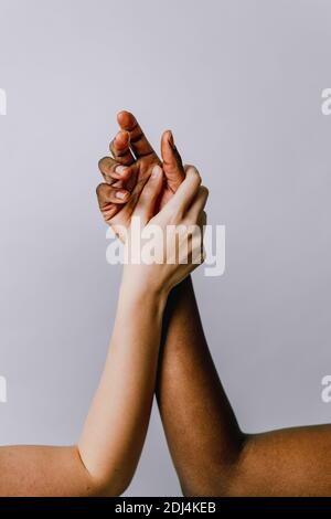 Armi di donne bianche e nere, concetti di integrazione razziale, uguaglianza sociale dei diritti umani Foto Stock