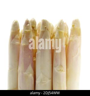 Asparagi, Asparagus officinalis, Verdure contro uno sfondo bianco Foto Stock