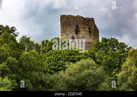 Dolbadarn Castle North Wales, che torreggia sopra una linea di alberi Foto Stock