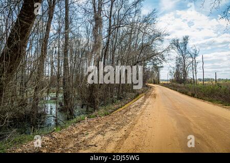 A dirt road in southeastern Georgia. Foto Stock