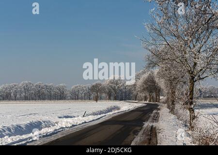 Una passeggiata invernale vicino al canale nel nord della Germania vicino Oldenburg Foto Stock