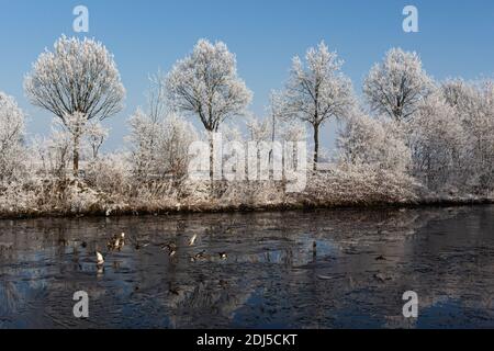 Una passeggiata invernale vicino al canale nel nord della Germania vicino Oldenburg Foto Stock