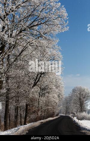 Una passeggiata invernale vicino al canale nel nord della Germania vicino Oldenburg Foto Stock