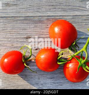 Pomodori rossi su superficie di legno. Disposizione piatta, vista dall'alto. Foto Stock