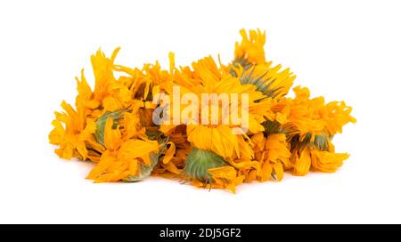 Essiccata la calendula fiori isolati su sfondo bianco. Foto Stock