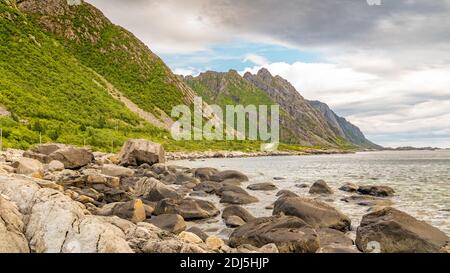 Norvegia paesaggio con fiordo, montagne, foresta a Lofoten, Norvegia Foto Stock