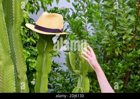 La mano di una donna raggiunge per un cappello di paglia che pende su un cactus alto Foto Stock