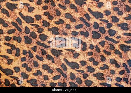 Astratto sfondo esotico naturale, vera pelle, modello sotto pelle puntellata esotica di leopardo. Texture, copy space, concetto di moda Foto Stock