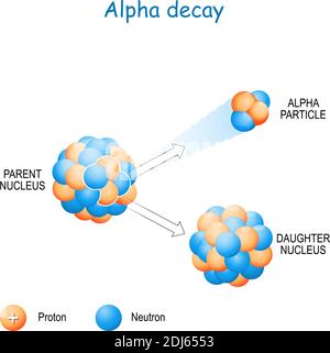 Decadimento alfa. α-decadimento è un tipo di decadimento radioattivo in cui un nucleo atomico emette una particella alfa (nucleo di elio) e forma un nuovo elemento Illustrazione Vettoriale