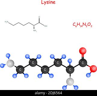 La lisina è un aminoacido essenziale per la biosintesi delle proteine. Formula strutturale chimica e modello di molecola. C6H14N2O2. Illustrazione vettoriale Illustrazione Vettoriale