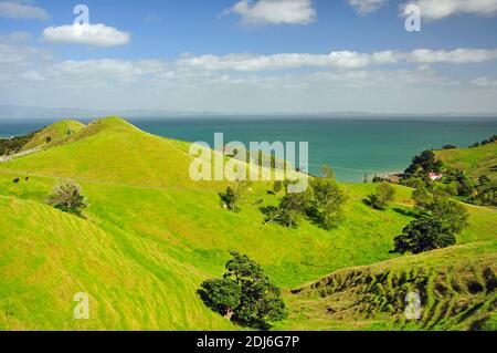 Vista costiera da Whangapoua Road, Penisola di Coromandel, regione di Waikato, Isola del nord, Nuova Zelanda Foto Stock