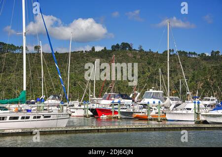 Barca marina, Whitianga Harbour, Whitianga, Mercurio Bay, Penisola di Coromandel, regione di Waikato, Isola del nord, Nuova Zelanda Foto Stock