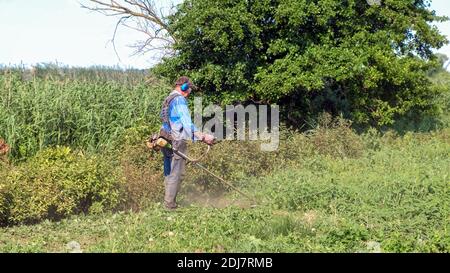 L'uomo anziano taglia l'erba con un decespugliatore a benzina. Uomo che indossa tute, occhiali di protezione, cuffie insonorizzate e guanti da lavoro. Vista laterale completa Foto Stock