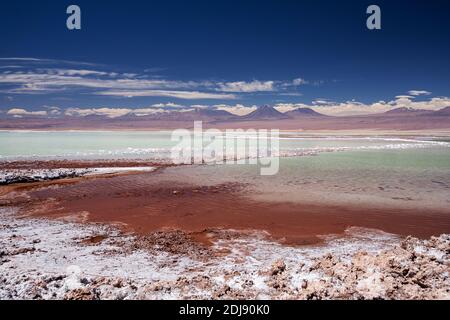 Laguna Tebenquicne, una laguna di acqua salata nel Salar de Atacama, Los Flamencos National Reserve, Cile. Foto Stock