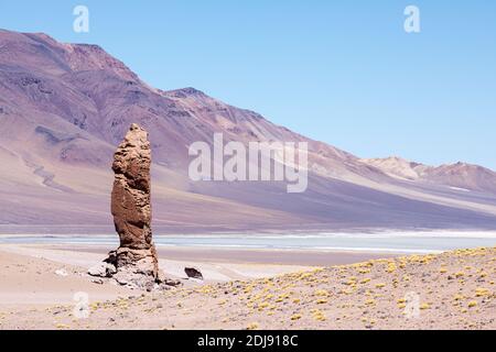 Formazione di pietre a Salar de Tara y Aguas Calientes i, Los Flamencos National Reserve, Antofagasta Regione, Cile. Foto Stock