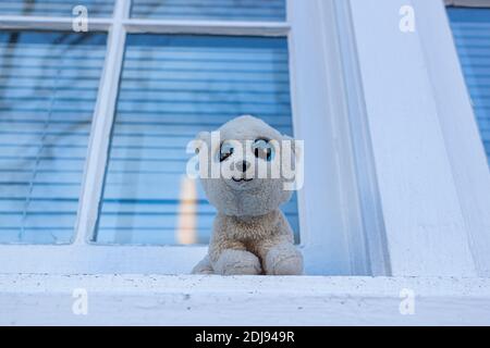 Un piccolo cane peluche piccolo cute peluche con pellicce bianche e gli occhi blu lucenti sono lasciati sul davanzale della finestra All'esterno di un building.The giocattolo sorridente cane è un bel it Foto Stock