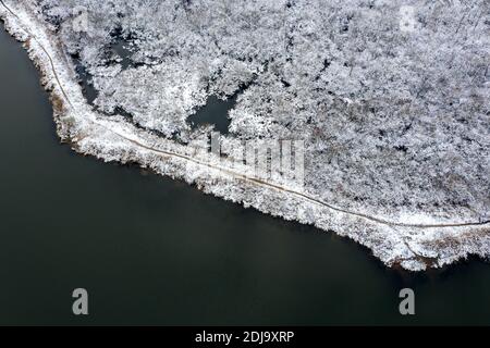 alberi surgelati su una riva del fiume. paesaggio innevato con alberi e fiume. vista aerea dal drone volante Foto Stock