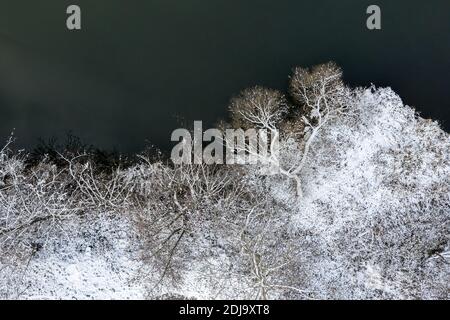 vista aerea dall'alto della riva ghiacciata del fiume nella foresta invernale con alberi innevati Foto Stock