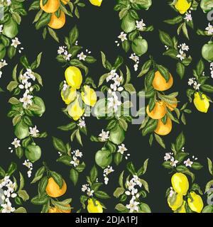 Modello vettoriale di alta qualità con elementi cituri in illustrazione grafica in colori realistici e luminosi con frutti di lime, arancio e limone e cit Illustrazione Vettoriale