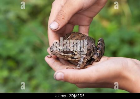 Il ragazzo prese il piede e lo tiene in sé mani Foto Stock