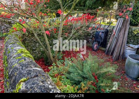 Un angolo di un giardino nel villaggio di Peak District di Parwich, Derbyshire Foto Stock