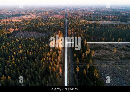 Un'aereo di una piccola strada che attraversa boschi misti e aree di taglio in Estonia, Nord Europa. Foto Stock