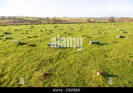 Marcatori di calcestruzzo a neolitico il sito preistorico del Santuario, Overton Hill, Wiltshire, Inghilterra, Regno Unito Foto Stock