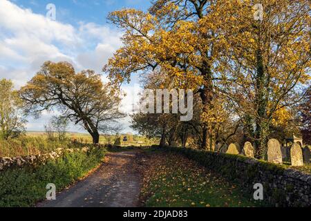 Colori autunnali in una corsia di campagna, Alstonefield, Peak District National Park, Staffordshire Foto Stock