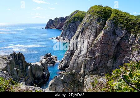 Splendida vista aerea sulla baia del mare. Lungo il mare si trovano alte scogliere, in cima alle quali una foresta verde. Mar Giapponese, Russo Estremo Oriente, Vladivostok Foto Stock