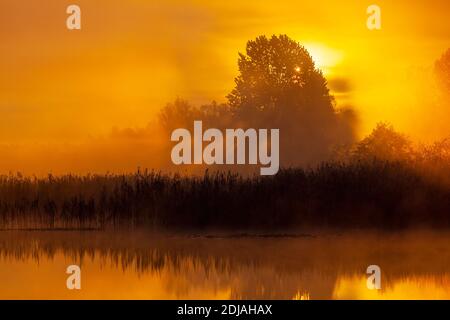 Biebrza National Park, in the morning, Poland Stock Photo