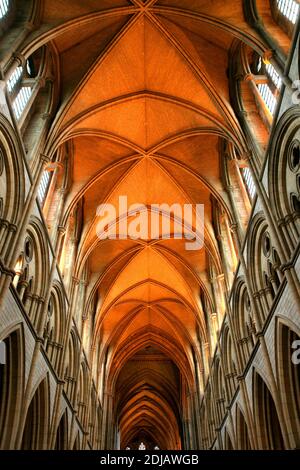 Exeter Cathedral, Truro, Cornwall, UK  interior vaulted wooden ceiling Stock Photo