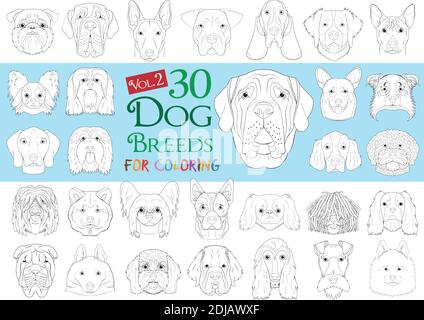 Raccolta razze di cani Volume 2: Set di 30 razze di cani diverse per la colorazione in stile cartone animato. Illustrazione Vettoriale
