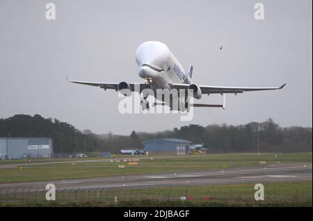 Newquay, Cornovaglia, Regno Unito, 14 dicembre 2020. Inusuale velivolo A700 Airbus a forma di balena visita l'aeroporto di Newquay per una serie di esercizi di addestramento dell'equipaggio di volo. L'aeromobile Airbus Beluga, che prende il nome dalla balena che assomiglia, ha sede a Tolosa, in Francia, ed è utilizzato per il trasporto di componenti di grandi dimensioni come le ali tra gli impianti di assemblaggio. Newquay Cornwall, Regno Unito. Credit: Robert Taylor/Alamy Live News Foto Stock