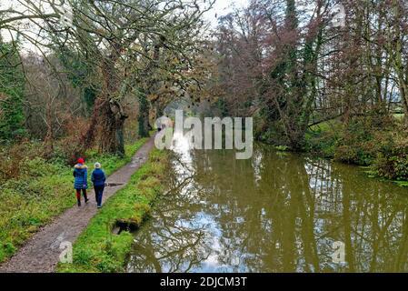 Gli escursionisti in inverno sul sentiero di alzaia vicino al canale di navigazione del fiume Wey, Byfleet Surrey England UK Foto Stock