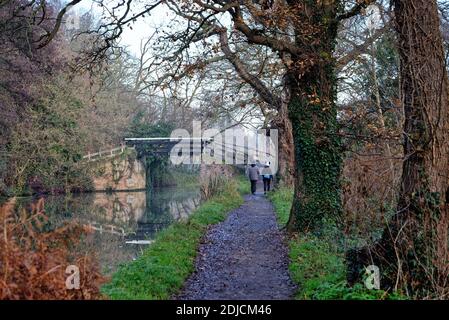 Gli escursionisti in inverno sul sentiero di alzaia vicino al canale di navigazione del fiume Wey, Byfleet Surrey England UK Foto Stock