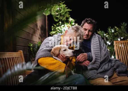 Coppia senior in sedia a rotelle con cane la sera sulla terrazza, rilassante. Foto Stock