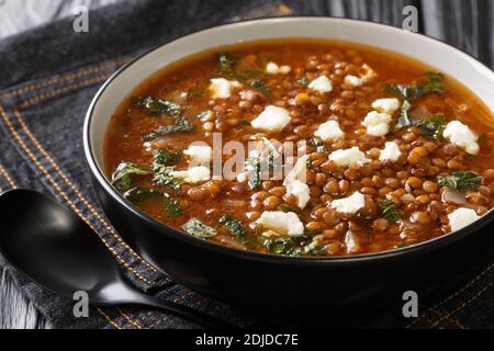 Zuppa greca tradizionale di lenticchie con feta, aceto e olio d'oliva primo piano in un piatto sul tavolo. Orizzontale Foto Stock