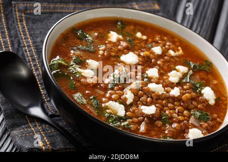 Deliziosa zuppa con lenticchie marroni e feta primo piano in un piatto sul tavolo. Orizzontale Foto Stock