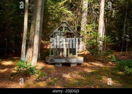 Qualcuno costruì una piccola fantasia, casa d'uccello in stile gnome e la pose nei boschi, adorata con merli di cedro, muschio. A Surry, Maine. Foto Stock