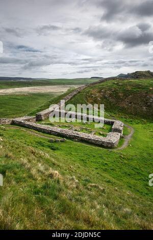 Rovine di Mile Castle No. 39, Hadrian's Wall, vicino a Homesteads, Northumberland, Inghilterra, Regno Unito Foto Stock
