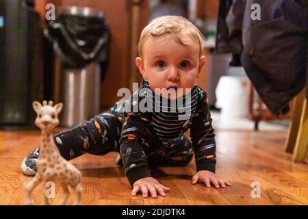Piccolo ragazzo carino e curioso che indossa abiti da notte, giocando sul pavimento di legno a casa con giocattoli di animali come giraffe mentre si guarda la macchina fotografica Foto Stock