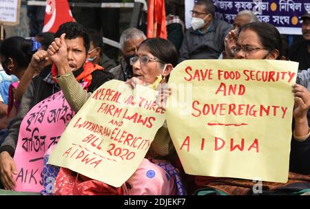 Guwahati, Assam, India. 13 Dicembre 2020. I membri di diverse organizzazioni di agricoltori insieme con la fase di organizzazione di sinistra Dharna protesta contro le leggi dei nuovi agricoltori in Guwahati Assam India Lunedi 14 dicembre 2020. Agricoltori in diverse parti dell'India sta protestando contro il governo indiano nuove leggi agricole e la richiesta di abrogare le leggi. Credit: Dasarath Deka/ZUMA Wire/Alamy Live News Foto Stock