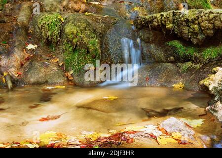 Particolare del torrente di montagna nel Parco Nazionale di Cheile Nerei Beusnita, Romania Foto Stock