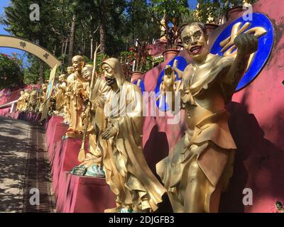 Il monastero di diecimila Buddha a Sha Tin, nuovi territori, Hong Kong. Ogni statua del Buddha è unica. Più di 12,000 statue di Buddha sono in mostra in questo santuario a pochi passi da una stazione ferroviaria. Ernie Mastroianni foto. Foto Stock