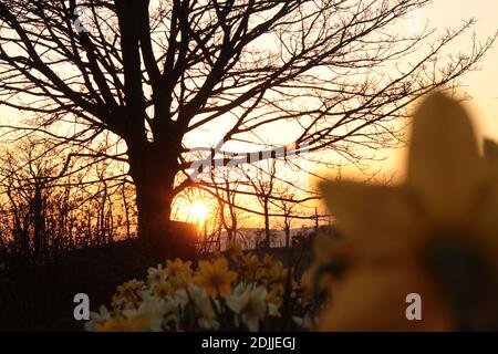 Bel Tramonto Foto Stock