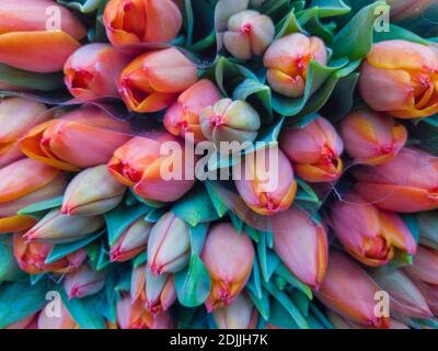 stack di tulipani arancioni al mercato Foto Stock