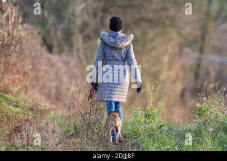 Vista posteriore di giovane donna in cappotto invernale, isolato all'aperto camminando il cane nella campagna rurale del Regno Unito nel pomeriggio sole invernale. Foto Stock